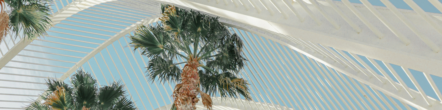 valencia y miami conexión tecnológica