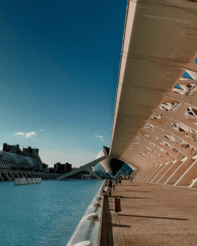 Foreign entrepreneurs are moving to Valencia to scale up their startups