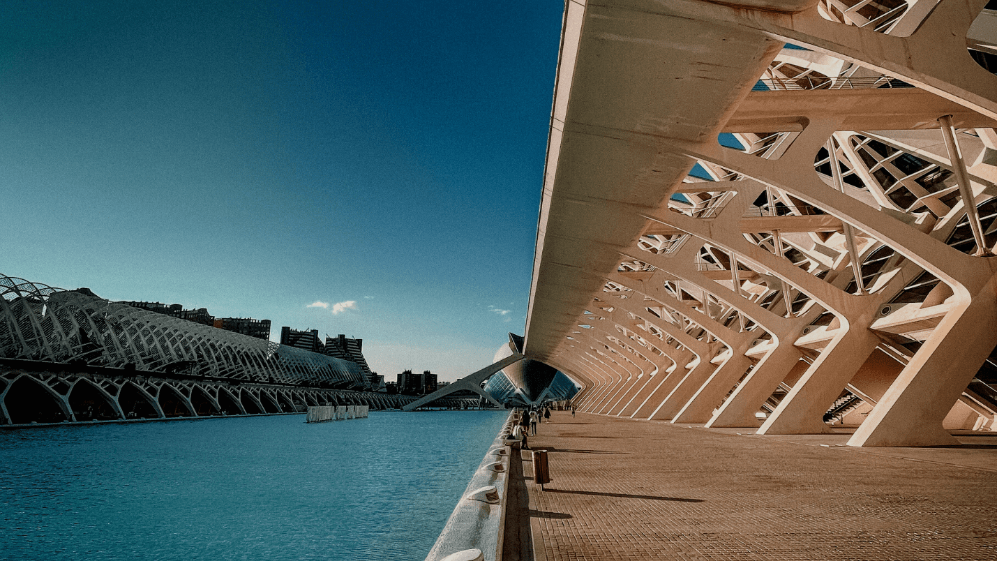 Foreign entrepreneurs are moving to Valencia to scale up their startups
