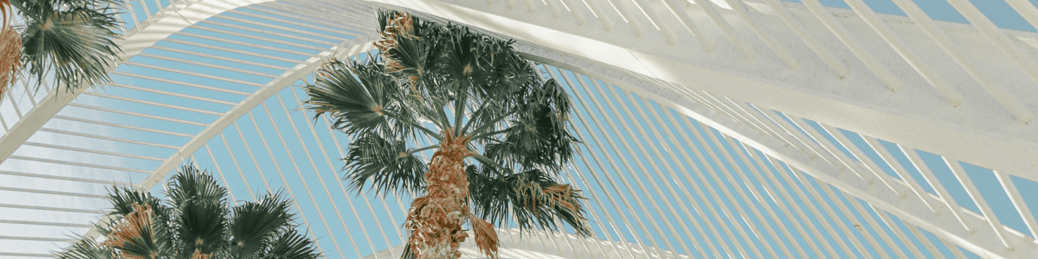 Valencia and Miami technological connection