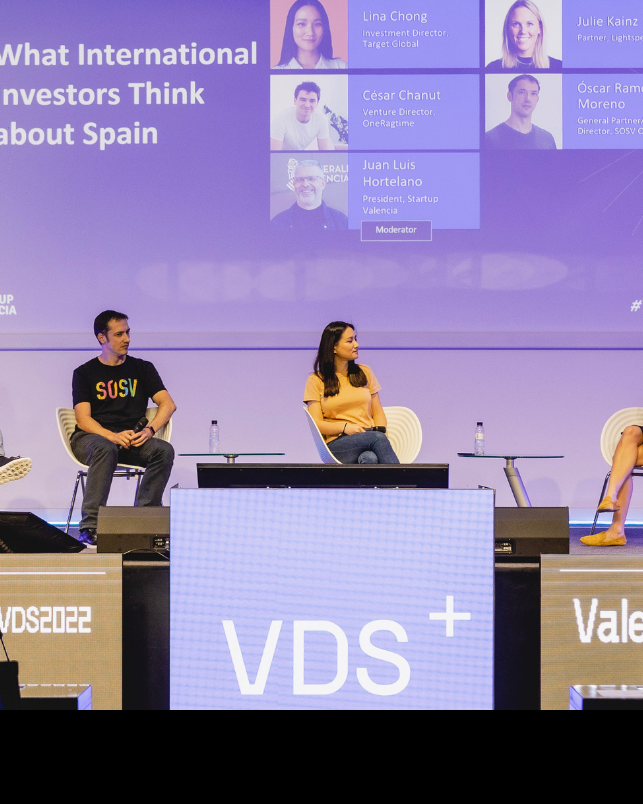 VDS2023 temas